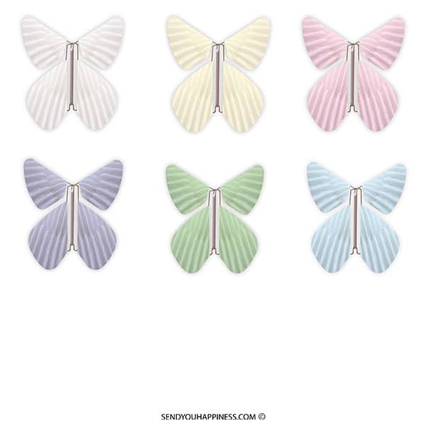 Magic Butterfly Feather Totall Assortiment copyright sendyouhappiness.com