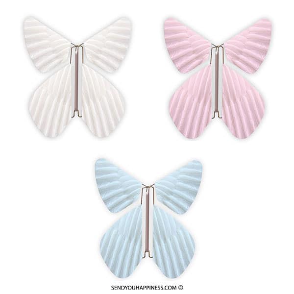 Magic Butterfly Feather Combi A copyright sendyouhappiness.com