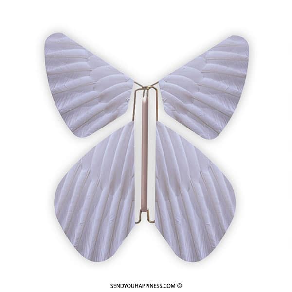 Magischer Schmetterling Feder Lavendel copyright sendyouhappiness.com