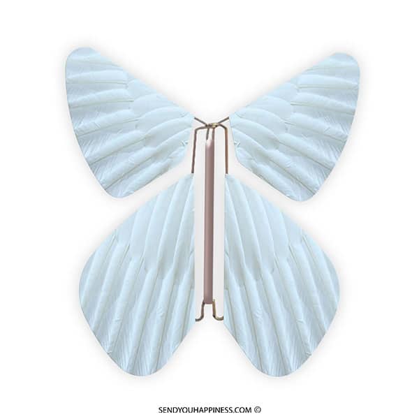 Magischer Schmetterling Feather Pastellblau copyright sendyouhappiness.com