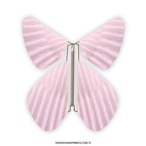 Magic Butterfly Feather Pastel Pink copyright sendyouhappiness.com
