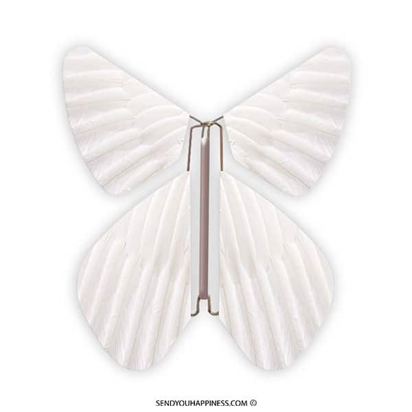 Magic Vlinder Feather Pearl White copyright sendyouhappiness.com