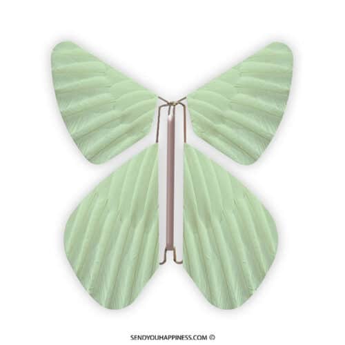 Magic Butterfly Feather Sea Green copyright sendyouhappiness.com