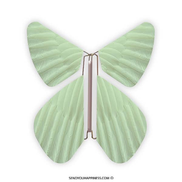Magic Butterfly Feather Sea Green copyright sendyouhappiness.com