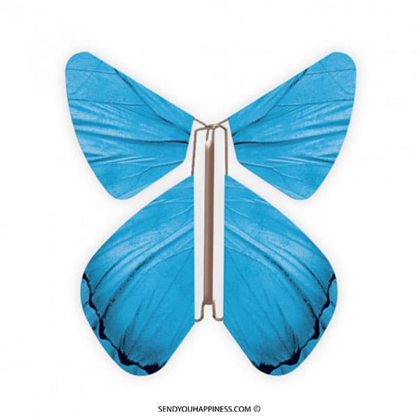 Magischer Schmetterling Impulse Blau copyright sendyouhappiness.com