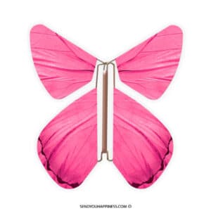 Magic Butterfly Impuls Pink copyright sendyouhappiness.com