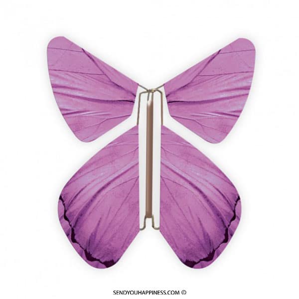 Magic Butterfly Impuls Purple copyright sendyouhappiness.com