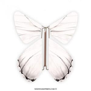 Magic Butterfly Impuls White copyright sendyouhappiness.com