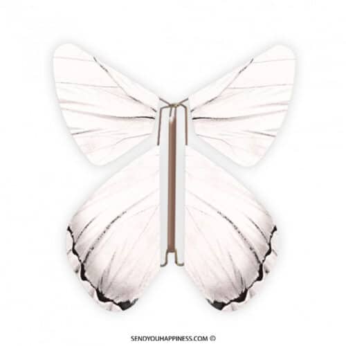 Magic Butterfly Impuls White copyright sendyouhappiness.com