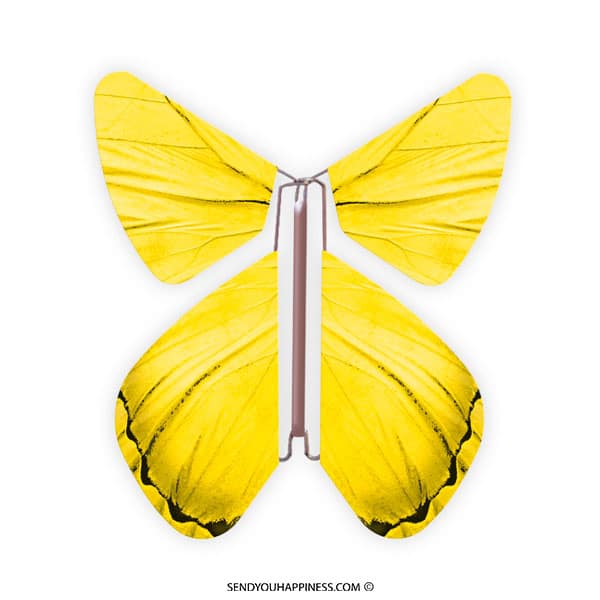 Magic Butterfly Impuls Yellow copyright sendyouhappiness.com