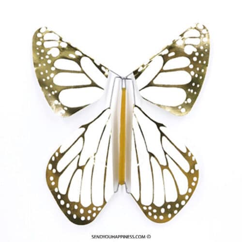 Magic Butterfly Metal Gold New Concept copyright sendyouhappiness.com