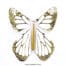 Magic Butterfly Metal Gold New Concept copyright sendyouhappiness.com