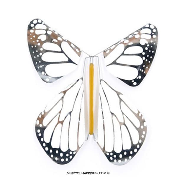 Magic Butterfly Metal Silver New Concept copyright sendyouhappiness.com