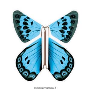 Magic Butterfly Nature Large Blue copyright sendyouhappiness.com