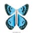 Magic Butterfly Nature Large Blue copyright sendyouhappiness.com