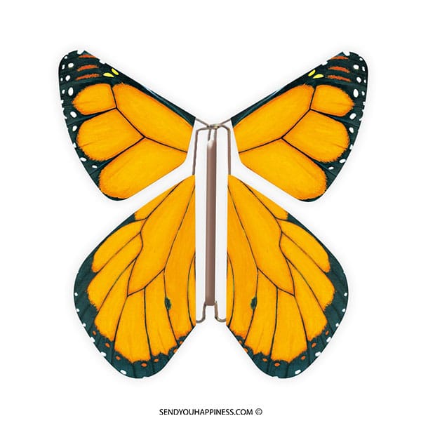 Magische Schmetterling Nature Monarchfalter copyright sendyouhappiness.com