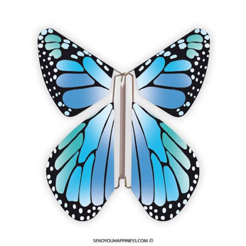 Magische Schmetterling Neues Konzept Blau copyright sendyouhappiness.com