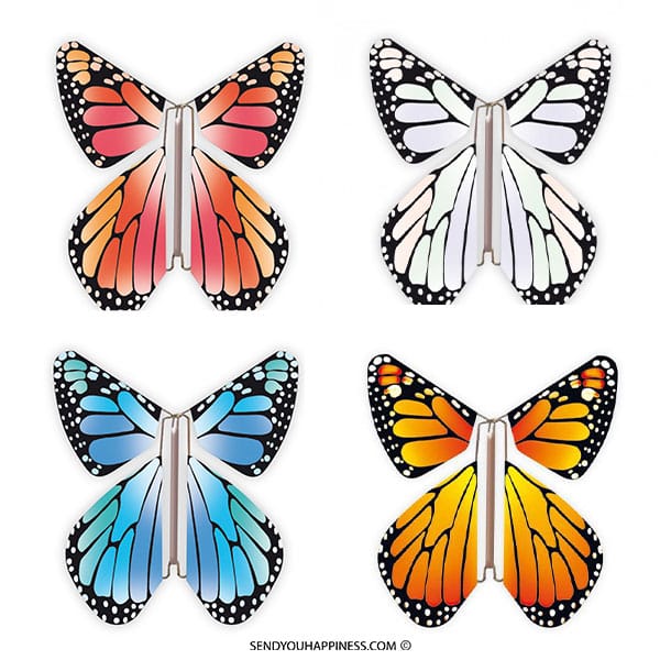 Magic Butterfly New Concept Combi A copyright sendyouhappiness.com
