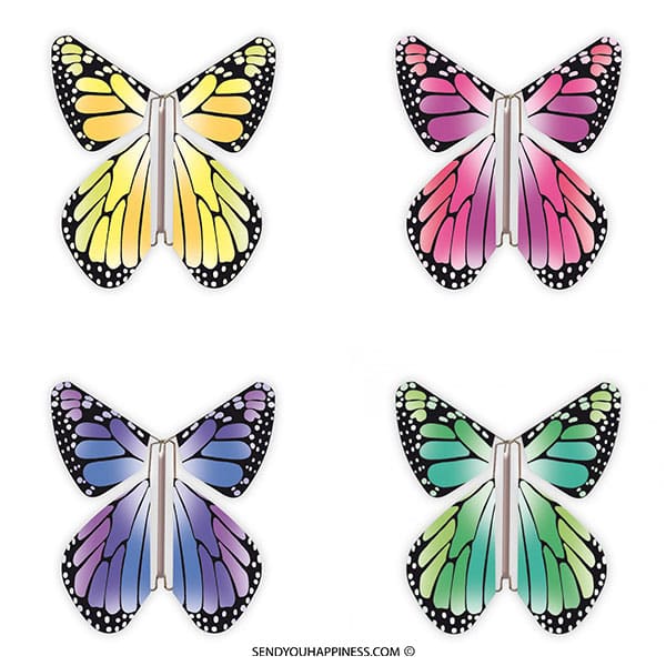Magic Butterfly New Concept Combi B copyright sendyouhappiness.com