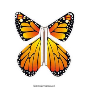 Magic Butterfly New Concept Orange copyright sendyouhappiness.com