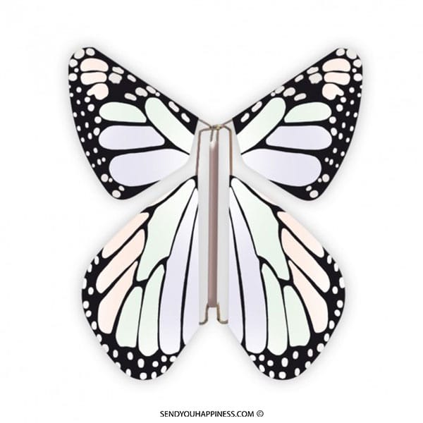 Magische Schmetterling Neues Konzept Pastell copyright sendyouhappiness.com