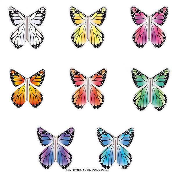 Magic Butterfly New Concept Assortiment copyright sendyouhappiness.com