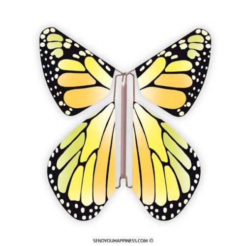 Magische Schmetterling Neues Konzept Gelb copyright sendyouhappiness.com
