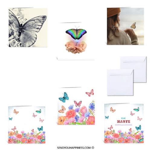 Butterfly Wishes card set