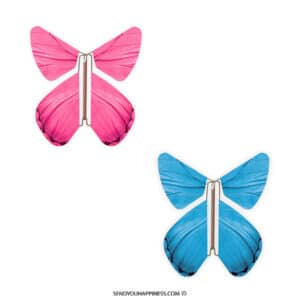 Magic Flyer Butterfly Impulse Gender Rosa Blau copyright sendyouhappiness.com