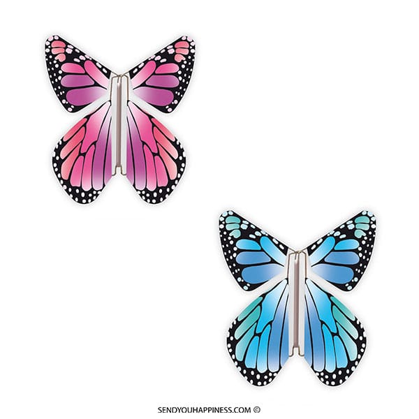 Magic Flyer Butterfly New Concept Gender Pink Blue copyright sendyouhappiness.com